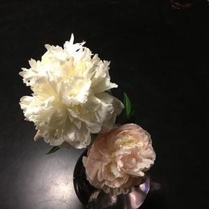 Meet your Posher, Hand